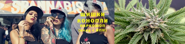 прущие крисы Осташков