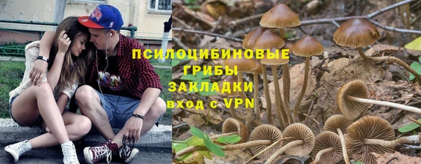 прущие крисы Осташков