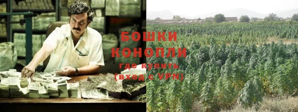 прущие крисы Осташков