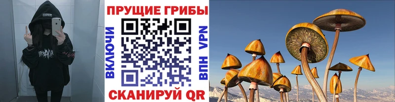 Галлюциногенные грибы прущие грибы Отрадная