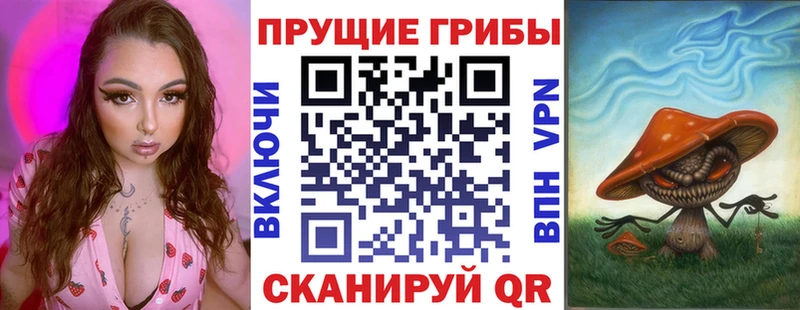 Купить где  Отрадная  Галлюциногенные грибы MAGIC MUSHROOMS 